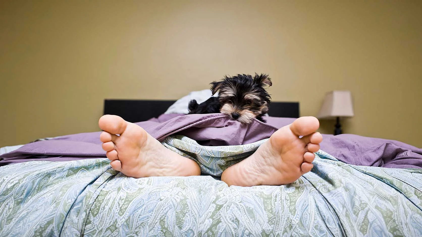 Ruhe und Entspannung im Alltag finden Person liegt entspannt auf einem Bett