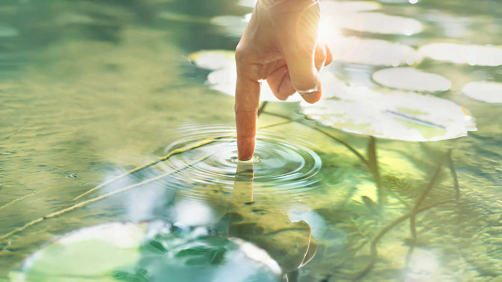 Hand berührt eine Wasseroberfläche und erzeugt kreisförmige Wellen.